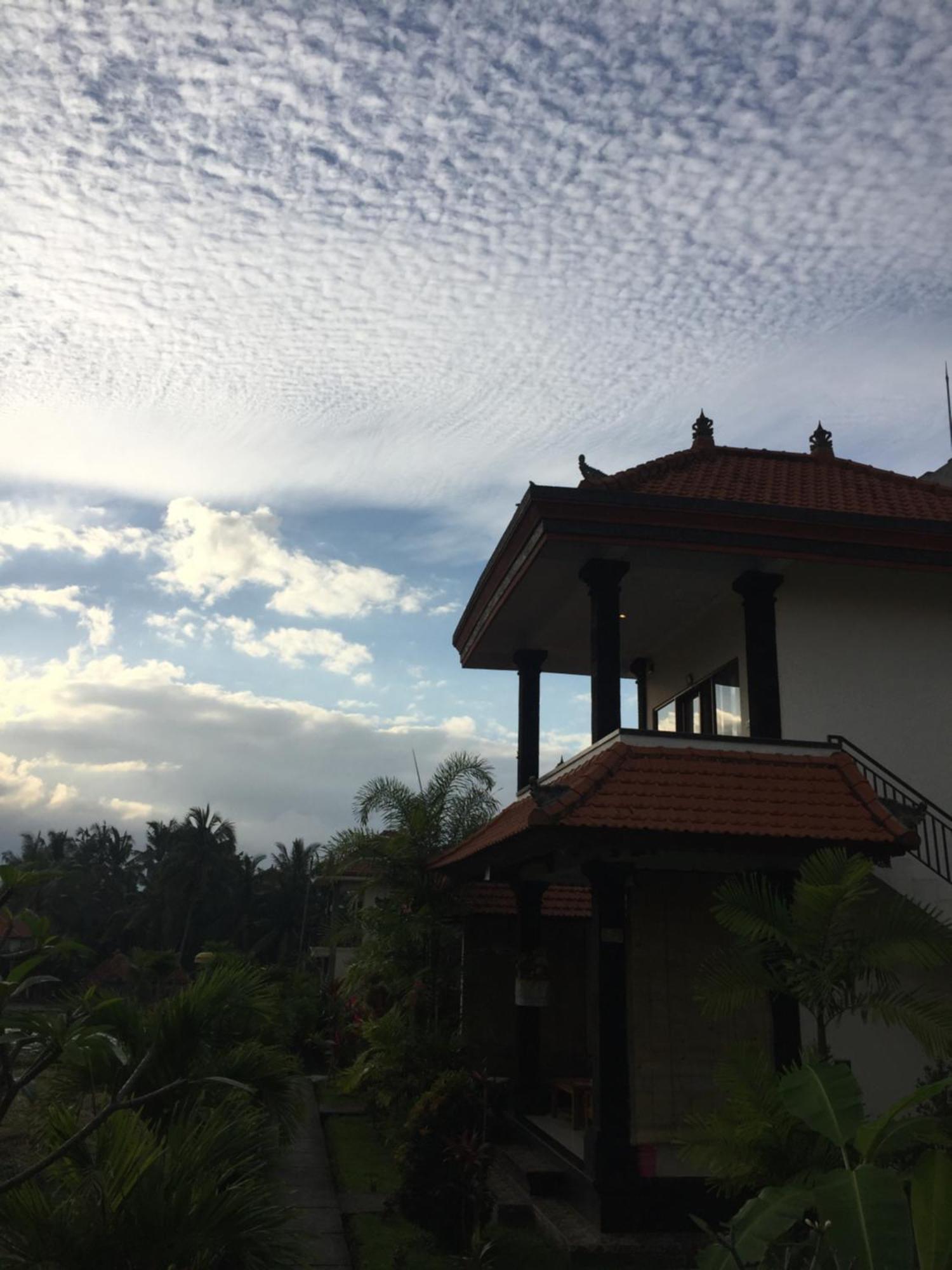 Sari Bungalow Ubud Kültér fotó