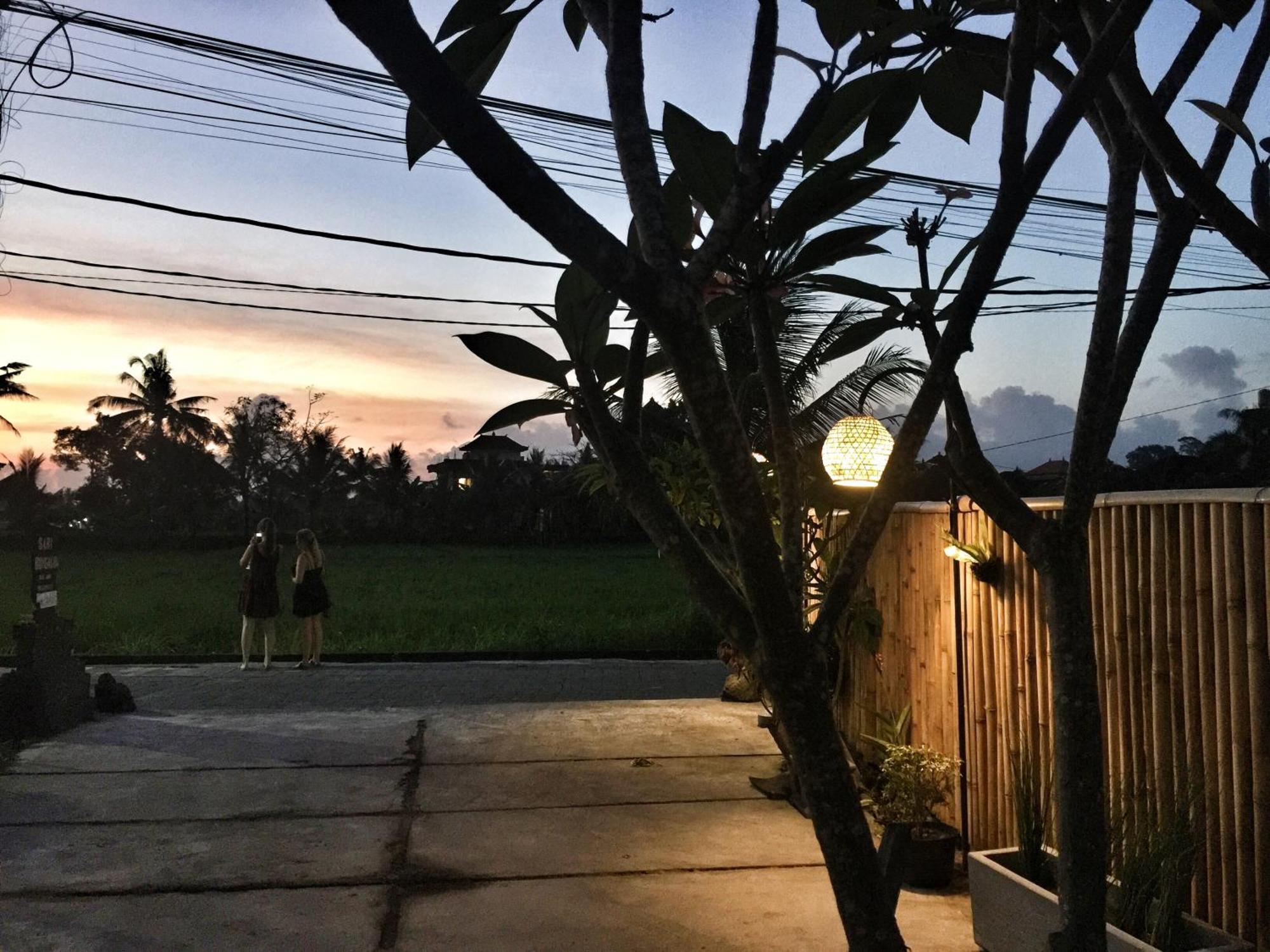 Sari Bungalow Ubud Kültér fotó
